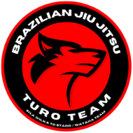 Turo Team 